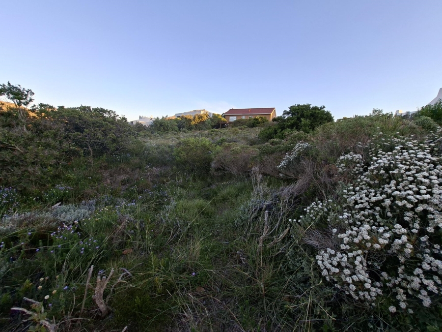 0 Bedroom Property for Sale in Pringle Bay Western Cape